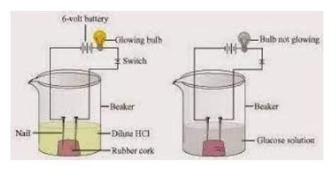 What is the conclusion of the activity given below. - Brainly.in