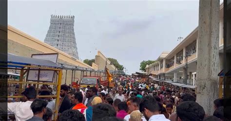 எல்லாம் செந்தில்நாதனை காண.. பக்தர்களால் நிரம்பி வழிந்த திருச்செந்தூர் ...