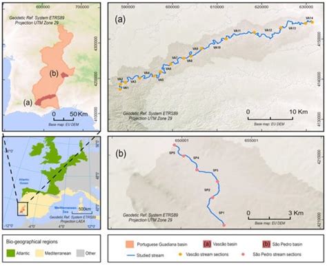 Diversity | Special Issue : Ecology and Conservation of Freshwater Mollusks