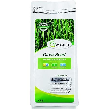 Navika Seeds ; Grow With Us Bermuda Grass ( Organic In Nature ) Perfect ...