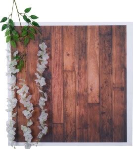 The Decor Cycle Photography Background, Photography Backdrop ...