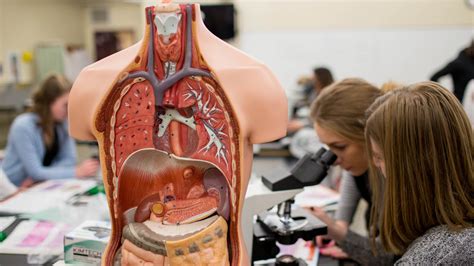 Free Science Lessons a Level Biology 的图像结果