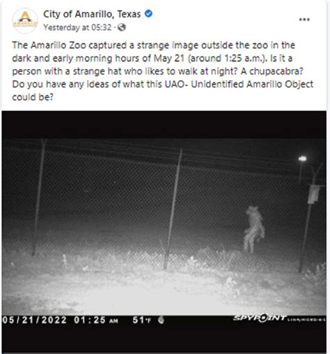 Pic of a strange creature seen outside Texas Zoo goes viral. Internet ...