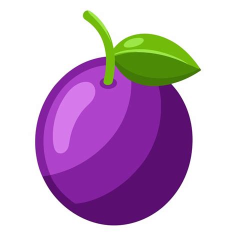 Plum fruit vector illustration isolated on white background | Premium ...
