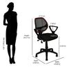 Buy Nilkamal Calida Mesh Back Office Chair (Black) Online In India