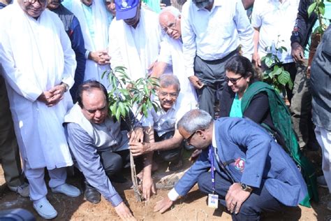 Events – Communitree