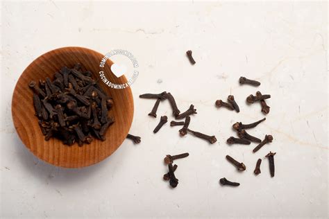 Allspice In Spanish Dominican at Ella Reibey blog