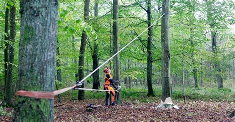 Sling/Lifting strap | Husqvarna IN