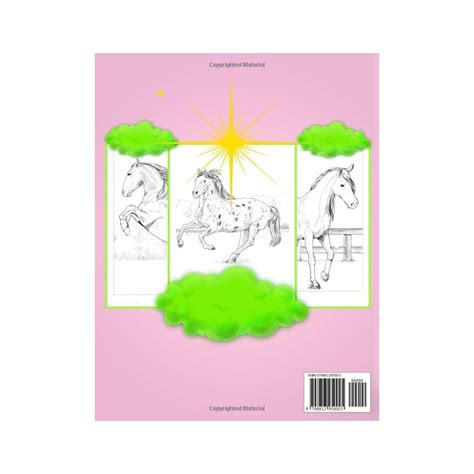 HORSES COLORING BOOK FOR ADULTS: An Adult Coloring | Ubuy India