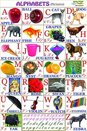 Buy Learning Educational Early Learning English Letter's with Word ...