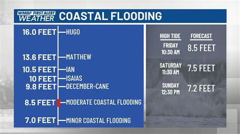Murrells Inlet Weather Forecast