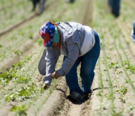 Extreme heat resources | Mass.gov