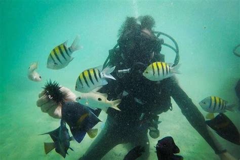 Small-Group Scuba Diving Tour in Dubai 2023 - Viator