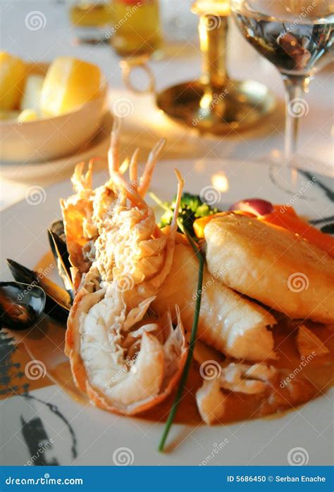 Salmon and lobster dish stock photo. Image of served, salmon - 5686450