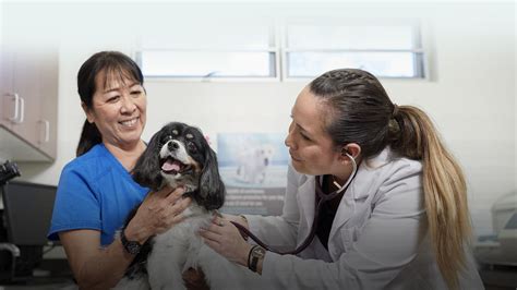 Pet Hospitals of Hawaii | Waipahu-Waikele, Wahiawa & Makai