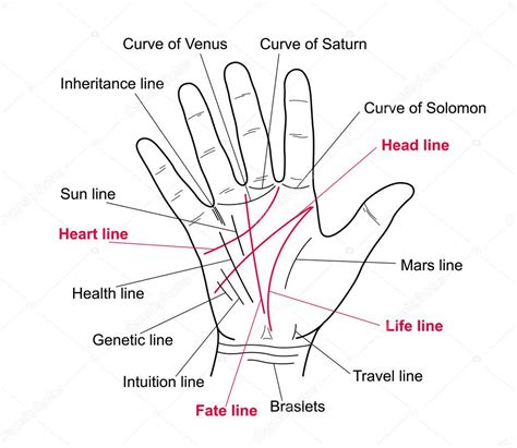 ShivaRatna Palmistry Reading