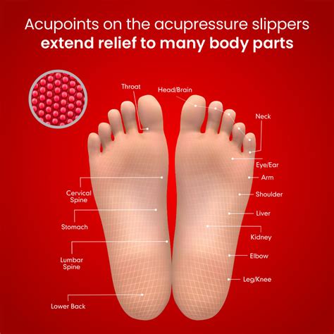 Buy Dr. Ortho Acupressure Slippers for Men and Women