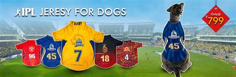 IPL Editions – Pawsindia
