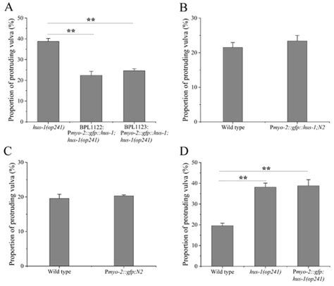 A Non-Cell-Autonomous Mode of DNA Damage Response in Soma of ...