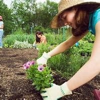 Diabetes Melitus - Penyebab, Gejala dan Pengobatan