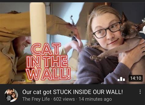 Image result for Now Talking My Language