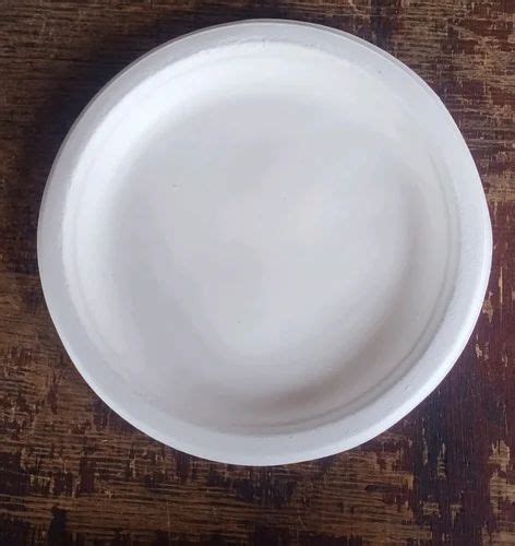 Small Papper Plate 的图像结果