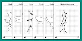 2D Shape Symmetry Drawing Activities - Primary Resources