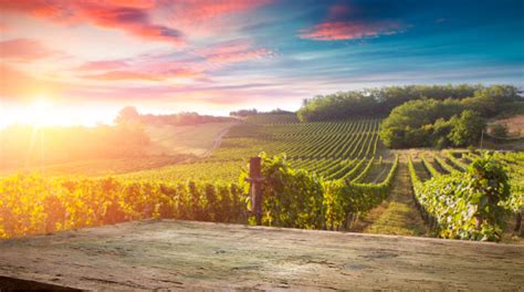 Travel 的图像结果