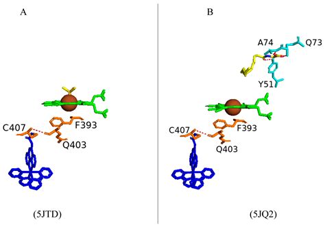 Structure–Function Analysis of the Self-Sufficient CYP102 Family ...