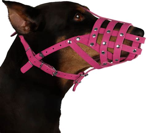 Leather dog muzzle petsmart online