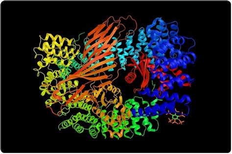 Image result for Protein Complex Function