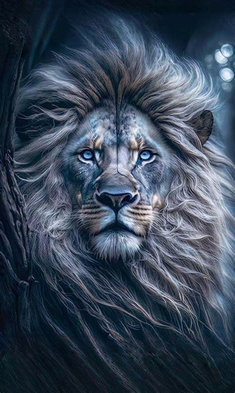 Lionsgate sound bath, Scarboro Surf Life Saving Club, Perth, 8 August ...