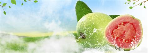 Origin Foods Limited