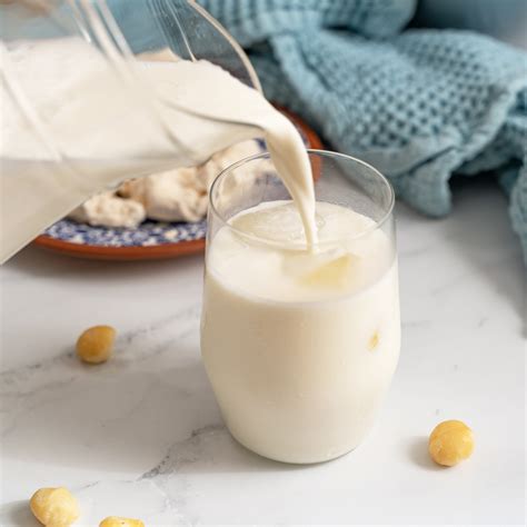 Activated Macadamia nut milk recipe - Luvele AU