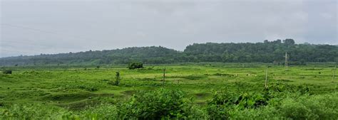 Explore Nearby Attractions - The Reserve Gorumara Dooars