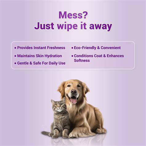 Fresh Me Up Biodegradable Pet Wipes with Aloe Vera ( 80 Pulls) | Non-A ...