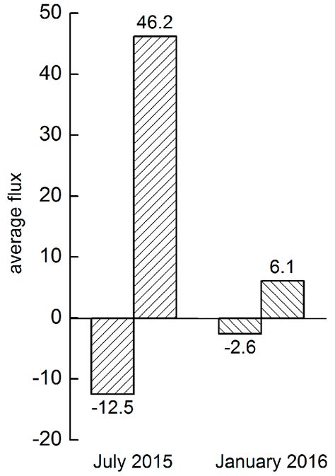 Variability of Darcian Flux in the Hyporheic Zone at a Natural Channel Bend