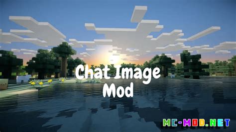Image result for How to Get a Minecraft Chat Spam Mod