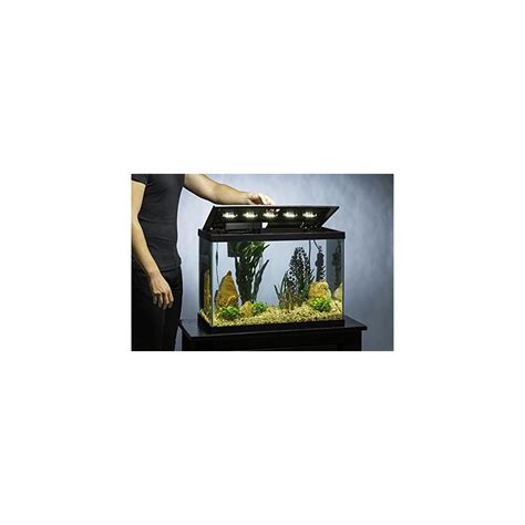 Tetra 20 Gallon Fish Tank Kit with LED Lighting and India | Ubuy