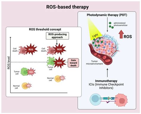 Targeting the Interplay of Independent Cellular Pathways and Immunity ...