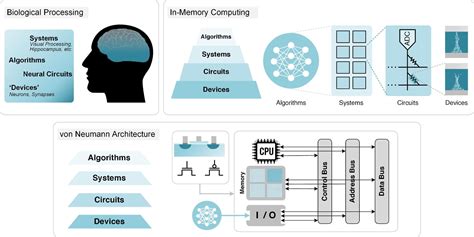 Image result for Neuromorphic Processors Simulators