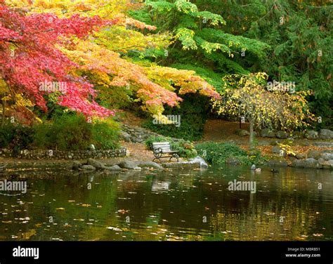 Ashland oregon lithia park hi-res stock photography and images - Alamy