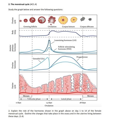 Period Cycle Graph 的图像结果