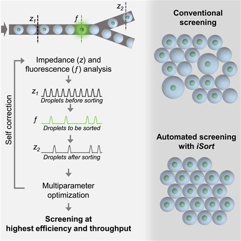 Image result for Microfluidic Cell Sorting
