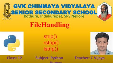 Image result for File Handling Class 12 PDF