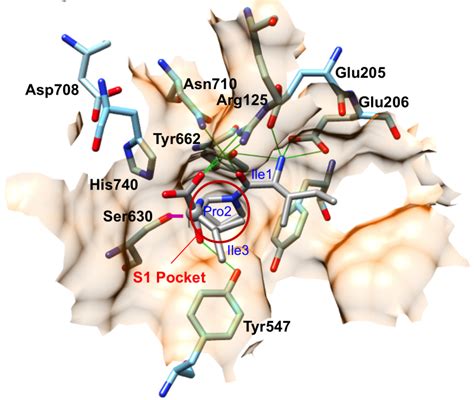 Image result for Tutorial How to Use DPP-4