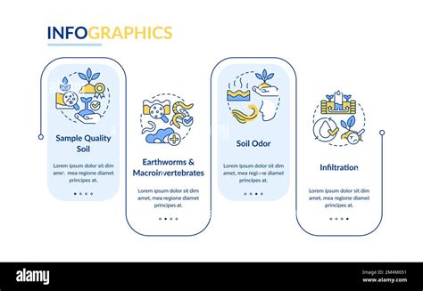 Data Structure Template 的图像结果