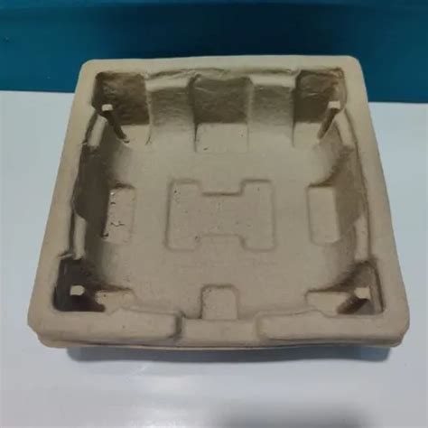 Molded Pulp Tray - Molded Paper Apple Tray Manufacturer from Faridabad