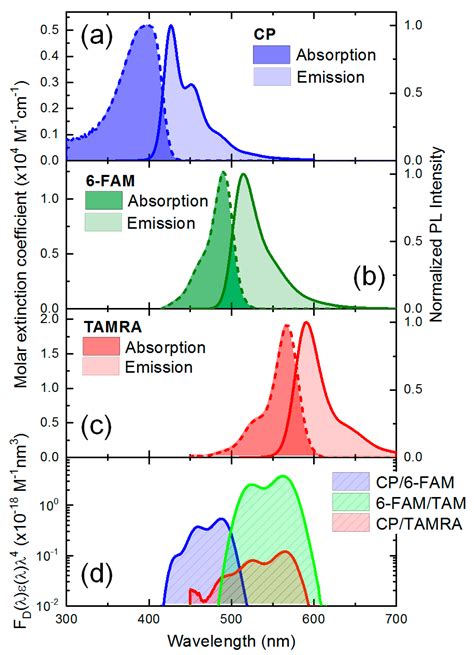 Two-Step Energy Transfer Dynamics in Conjugated Polymer and Dye-Labeled ...