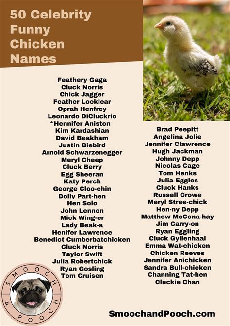 Chicken Coop.names at Brandon Myers blog